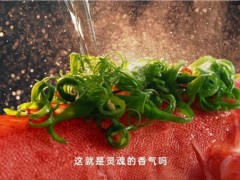 功能创新直击痛点 ，吉谷鲜加壹电蒸锅以“油食同热”重构烹饪体验